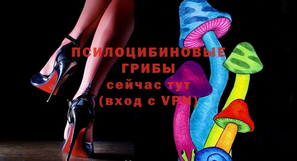 шишки Алексеевка