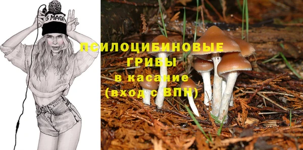 герыч Алзамай