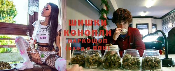 шишки Алексеевка