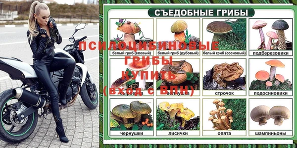 герыч Алзамай