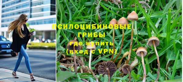 амфетамин Алексин