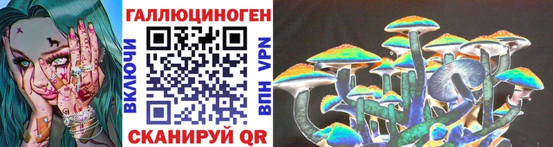 хочу наркоту  Арск  Псилоцибиновые грибы Cubensis 